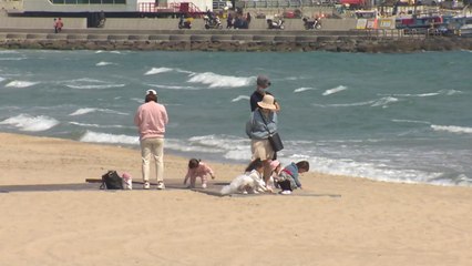 여름 바다 문턱...'코로나 딜레마'에 빠진 해운대 / YTN