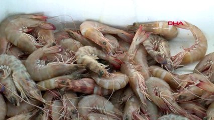 Ankara'da koronavirüs, balıkçıları etkilemedi