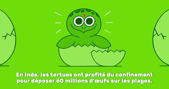 15 nouvelles positives qui se sont produites pendant la crise du coronavirus en illustrations