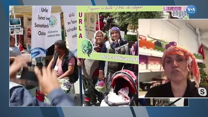 Enginar Üreticisiyle Kadın Kooperatifinin Dayanışması