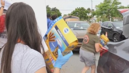 En el Miami-Dade del COVID-19 también reparten gratis comida para mascotas