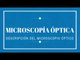 MICROSCOPÍA ÓPTICA · Descripción del microscopio óptico