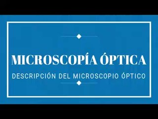 MICROSCOPÍA ÓPTICA · Descripción del microscopio óptico