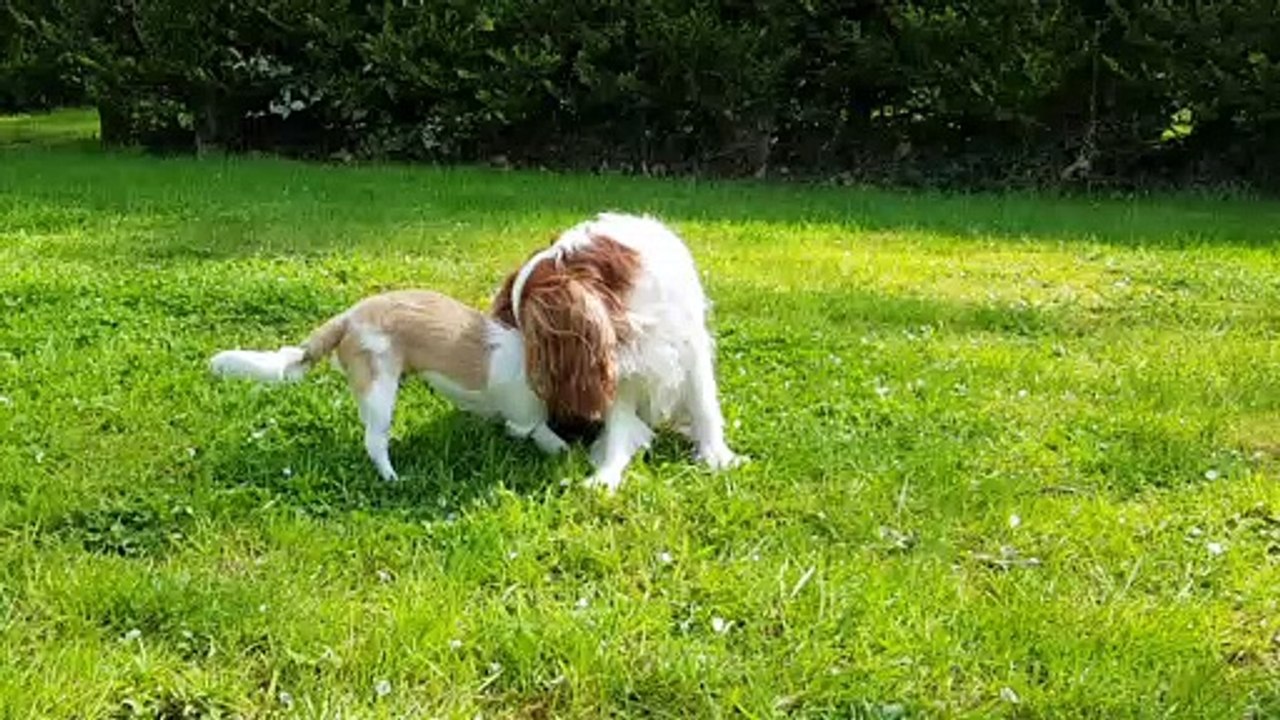 Juliane et Phandor jouent au jardin