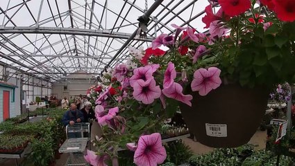 Adding some color to self-isolation