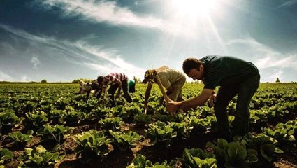 Bakan Pakdemirli, elde kalan ürünlerle ilgili çiftçilere ve besicilere müjdeyi verdi