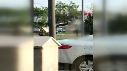 İzmir'de şoke eden görüntü; sahildekilere aldırış etmeden tuvaletini yaptı