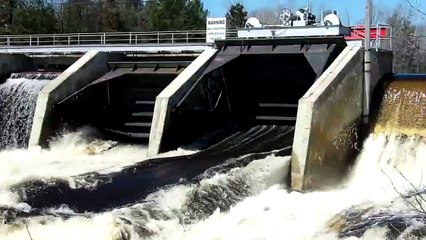Open Floodgates