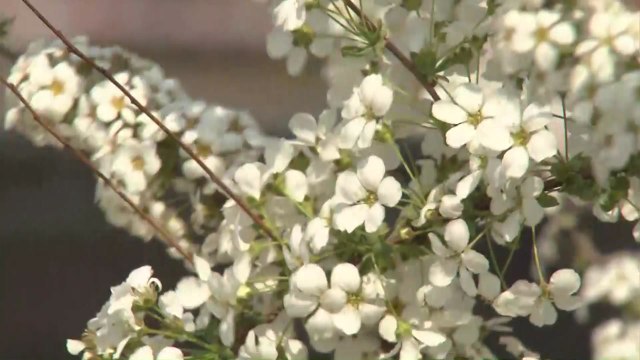 [날씨] 때 이른 더위에 건조특보...서울 28℃·포항 33℃ / YTN