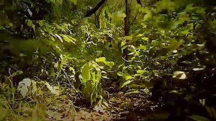 Teaser Pura Ficção - No Caminho da Imaginação