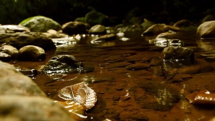 Teaser Pura Ficção  -  Bolinhas de Sabão
