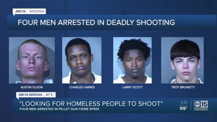 Four men arrested in pellet gun crime spree