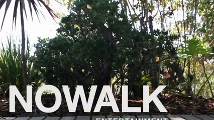 How to Get Away with Murder S06E14 Annalise Keating Is Dead