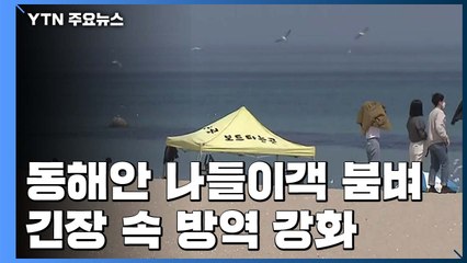 연휴 이틀째 동해안 '북적'...긴장 속 방역 강화 / YTN