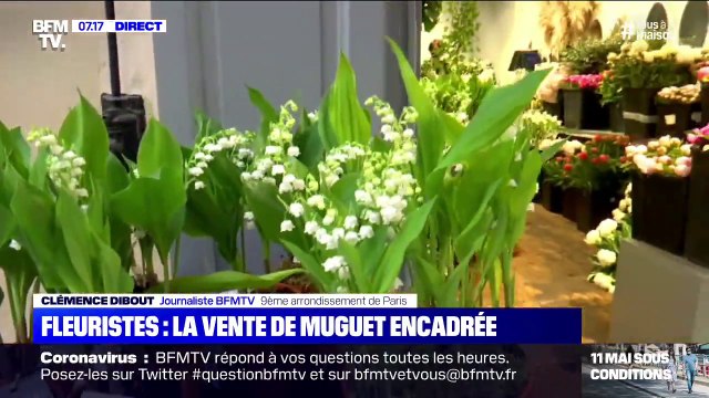 La vente de muguet très encadrée chez les fleuristes ce 1er mai