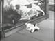 Random Classic Cartoons - Betty Boop: "Training Pigeons" (1936) - Mae Questel | Dave & Max  Fleischer