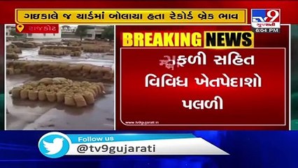 Crops in market yard got wet due to rain,Kisan cell chief Pal Ambaliya seeks govt help_ Rajkot