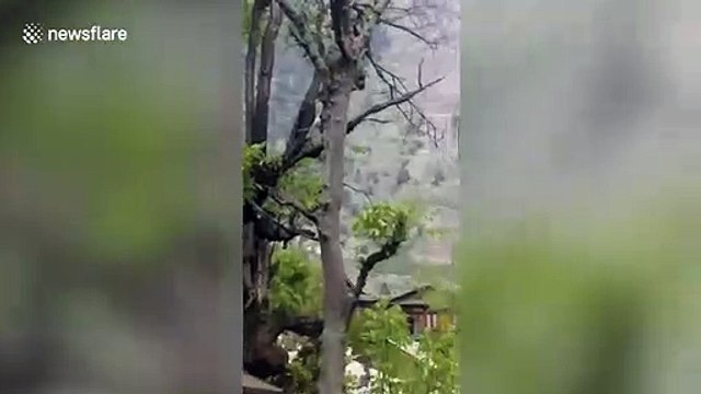 Dramatic moment avalanche hurtles towards village in north India