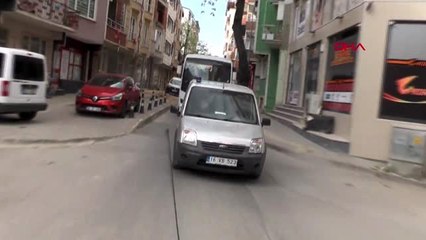 BURSA Tavlaya gizlenen uyuşturucuyu 'Fırtına' buldu