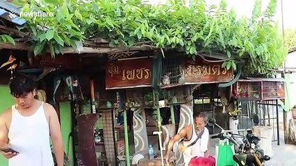 Thai pensioner found dead after being electrocuted when stepping on exposed wires