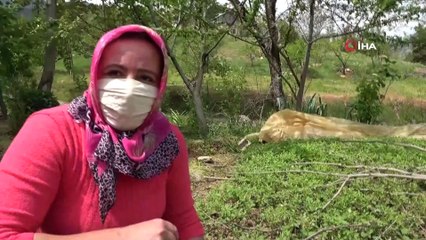 Cumhurbaşkanının 'Ekilmedik bir karış yer kalmasın' çağrısına Saimbeyli'den tam destek