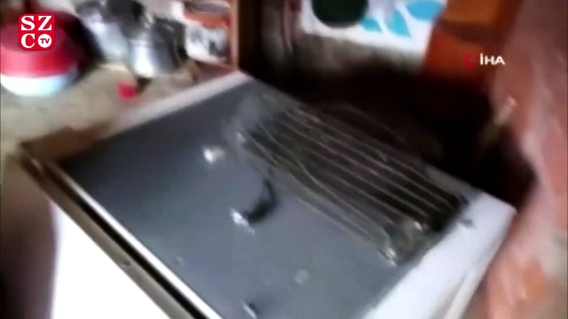 Yaylaya çıkınca şoku yaşadılar