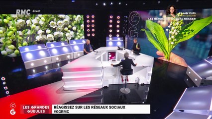 Le monde de Macron: Les fleuristes ne pourront vendre du muguet que sur commande ou en livraison le 1er mai – 01/05
