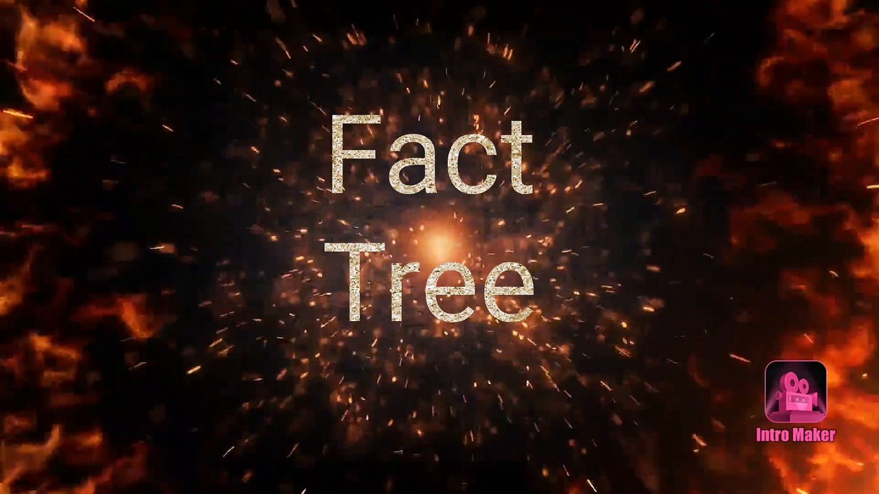 Basic intro