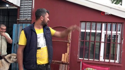 Hırsızlar çaldıkları köpek ve güvercinleri 10 gün sonra sahibine geri gönderdi