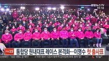 [단독] 통합당, 원내대표 레이스 본격화…이명수 첫 출사표