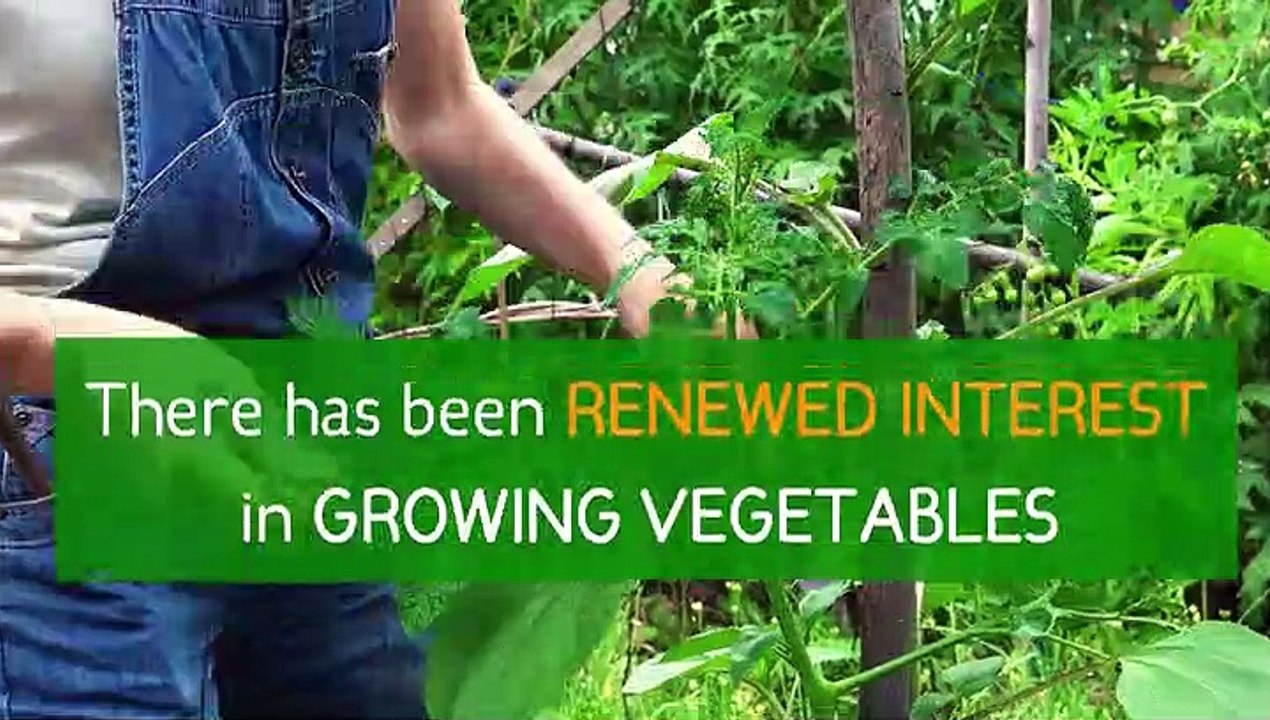 Gardening popularity Under Lockdown
