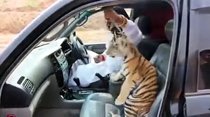 zafar supari || rawalpindi || pakistan || zafar supari with tiger ||