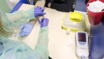 Las muertes por coronavirus en España registran un leve aumento