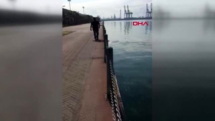KOCAELİ Denize düşen köpeği kurtardılar