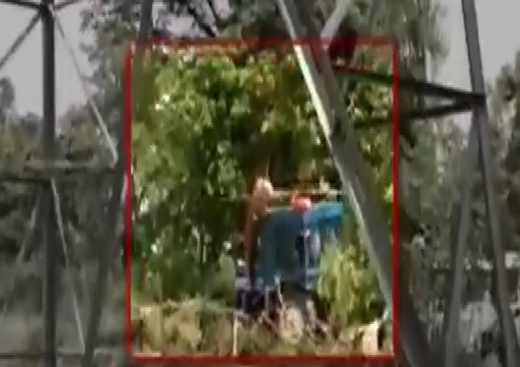 Tiger attacks three men on tractor, VIDEO