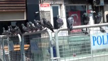 Belediye görevlisi Taksim Meydanı'nda aç kalan güvercinleri unutmadı