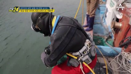맛도 크기도 초大박! 건지기만 하면 대박 나는 초대형 '벚굴'!