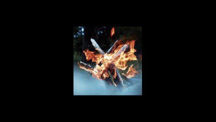 What Are You Doing With Your Life