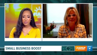 Small Business Relief | Cathy DeWitt Dunn on WFAA