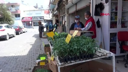 Sokağa çıkamayan vatandaşın yoğun fide ilgisi