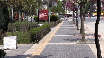 Doğu Marmara ve Batı Karadeniz'de "sessizlik" hakim