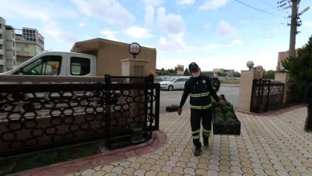 Evler reyhan çiçeği kokacak