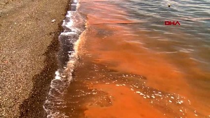 BURSA Marmara Denizi kızıla büründü