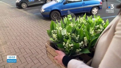 1er mai : l’organisation des fleuristes pour vendre du muguet en plein confinement