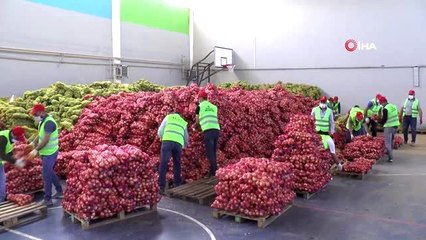 Her haneye gıda kolisi dağıtan Belediye Başkanı Hamza Şayir, şimdi de patates ve soğan yardımı...