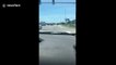 'How is he driving?' Florida motorist spots diagonal-facing vehicle driving down highway