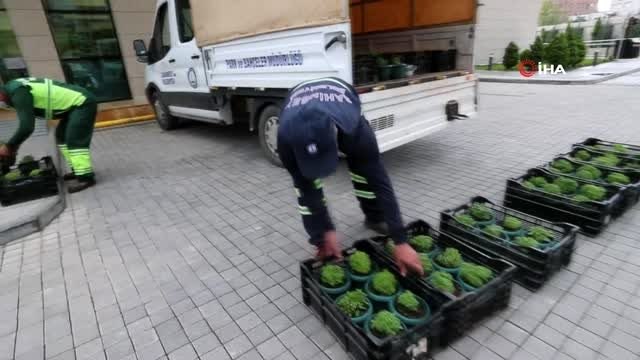 Şahinbey'de vatandaşlara reyhan çiçeği dağıtıldı
