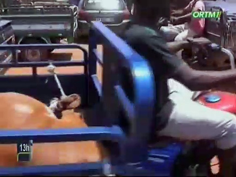 ORTM / Covid 19 - Fête de Ramadan - Le ministère de l’Elevage et de la Peste adresse un message de sensibilisation aux professionnelles du sous secteur de l’élevage pour le respect des mesures barrières