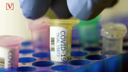 New Model Used by the White House Projects 134,000 Coronavirus Deaths, Double the Count From April