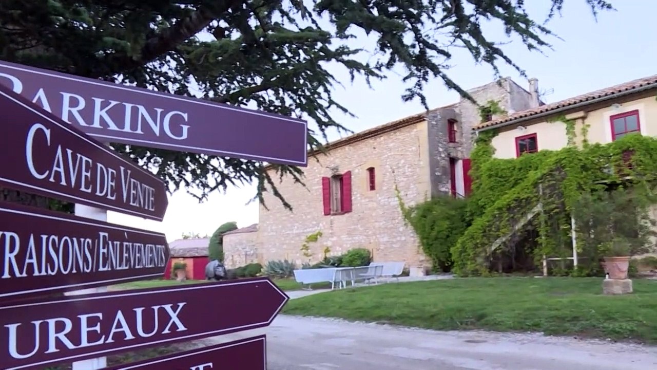 En Provence, "visio-dégustations" ou "drive-in" pour contrer la chute des ventes de vin